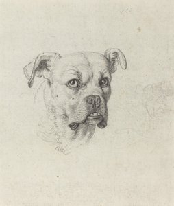 Un pugile da Johann Heinrich Wilhelm Tischbein