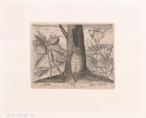 Serie di stampe con fiori e animali in un paesaggio da Johann Hogenberg