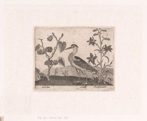 Serie di Stampe con Fiori e Animali in un Paesaggio, Paesaggio con airone e delphinium, dalla serie 
