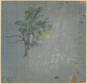 Studi di alberi, prima metà del 1800