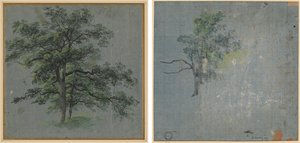 Due alberi (recto) Studi di alberi (verso) da Johann Jacob Dorner