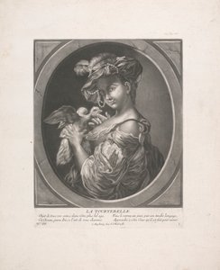 La tortorella da Johann Jacobus Haid