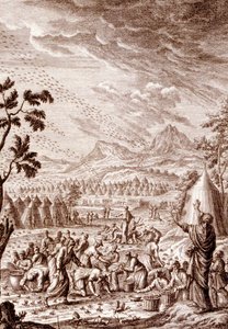 Ebrei che combattono una piaga di locuste da Johann Jakob Scheuchzer
