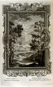 Illustrazione da Johann Jakob Scheuchzer
