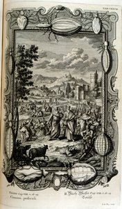 Piaga dei pidocchi e delle zanzare da Johann Jakob Scheuchzer