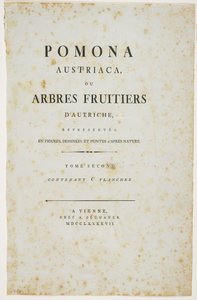 Pagina del titolo da 