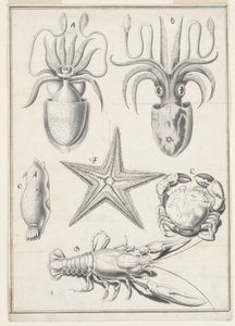 Quinto Giorno di Lavoro da Johann Melchior Füssli