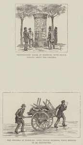 Il colera ad Amburgo