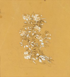 Bouquet di fiori da Johann Peter Krafft
