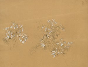 Boscaglia da Johann Peter Krafft