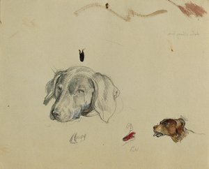 Studio di cane da Johann Peter Krafft