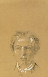 Testa di un ragazzo da Johann Peter Krafft