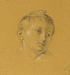 Testa di un ragazzo da Johann Peter Krafft