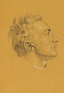 Studio di testa per "Ritorno dell