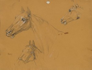 Studio di cavallo per "L