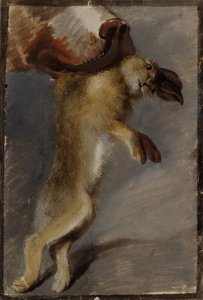 Studio di una lepre da Johann Peter Krafft