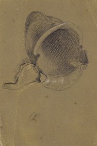 Studio di un elmo