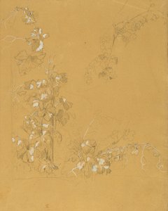 Vite, studio per "Hermann e Dorothea nel vigneto" da Johann Peter Krafft