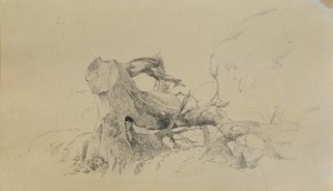 Radici, albero caduto da Johann Peter Krafft