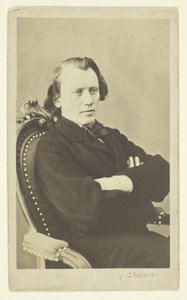 Ritratto di Brahms