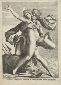 Caenis abbracciata da Nettuno