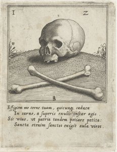Vanitas con un teschio e due ossa