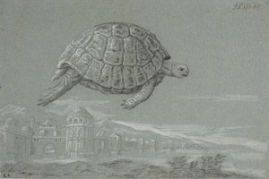 Studio di una tartaruga e prospetto di una città fortificata sul mare (Venezia) da Johann Salomon Wahl