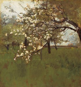 Melo in fiore (olio su tela)