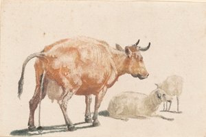 La mucca che urina