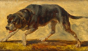 Studio di cane da Johann  Till der Jüngere