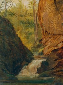 Ruscello nel bosco