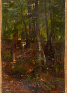 Paesaggio boschivo da Johann  Till der Jüngere