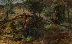 Sentiero nel bosco con recinto