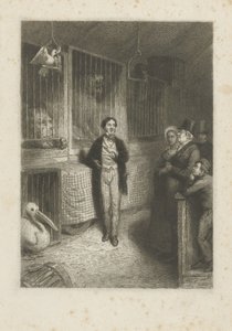 Animali che guardano da Johann Wilhelm Kaiser (I)
