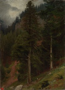 Pendio nella foresta di abeti da Johann Wilhelm Schirmer