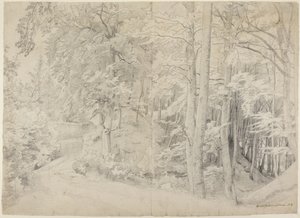 Nella faggeta da Johann Wilhelm Schirmer