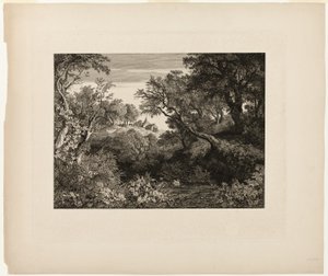 Il grande paesaggio tedesco da Johann Wilhelm Schirmer
