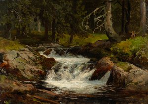 Ruscello nel bosco da Johann Wilhelm Schirmer