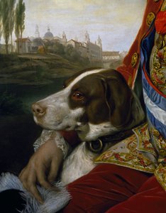 Cane, (dettaglio) da un ritratto di Ferdinando di Borbone, Duca di Parma