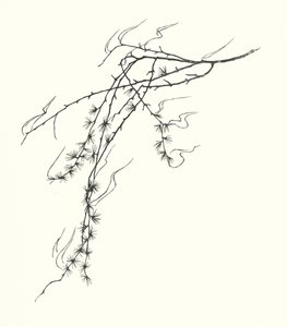 Silhouette di Johanna Beckmann da Johanna Beckmann