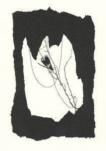Silhouette di Johanna Beckmann