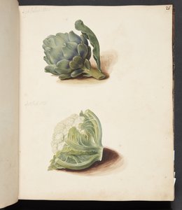 Studio di carciofo e cavolfiore