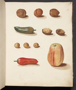 Studio di mela, noci e peperoni da Johanna Fosie