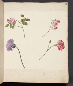 Studio di fiori da Johanna Fosie