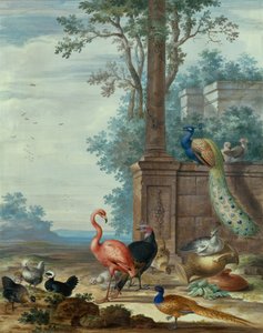 Paesaggio italianeggiante con pavone, fagiano, fenicottero e altri uccelli da Johannes Bronckhorst