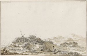 Paesaggio dunale da Johannes Christiaan Schotel
