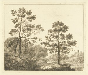 Sentiero boschivo in paesaggio collinare da Johannes Franciscus Christ