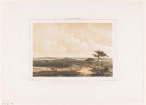 Paesaggio di brughiera con viandante a riposo e pastore con gregge da Johannes Franciscus Hoppenbrouwers