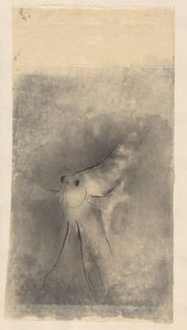 Pesce luna