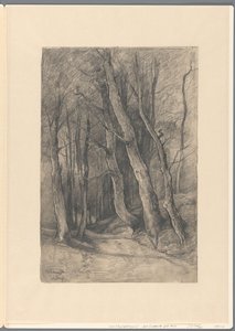 Paesaggio Boscoso presso Delden da Johannes Gijsbert Vogel